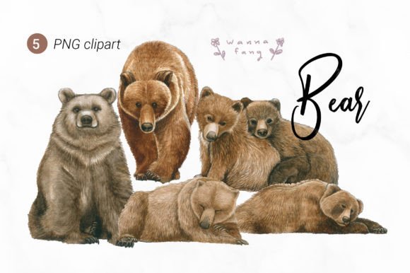 Charming Bear Watercolor Clipart for Creative Projects