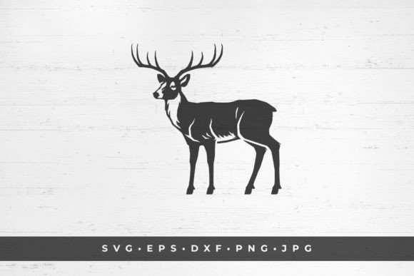 Horned Deer Mammal Wild Animal: A Design Asset for Every Creator