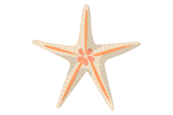 Starfish Color Icon: Your Guide to Sea Beach Animal Symbol Design